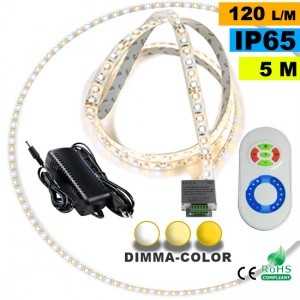 Pack Ruban Led 5m Dimma Color 3528 ip65 120 leds