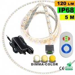 Pack Ruban Led 5m Dimma Color 3528 ip68 120 leds