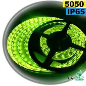Ruban Led vert SMD 5050 IP65 60leds/m 5m