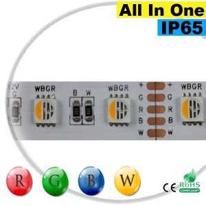 Ruban LEDs RGB-WW IP65 - LED "All in one" sur mesure