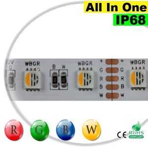 Ruban LEDs RGB-WW IP68 - LED "All in one" 5 mètres